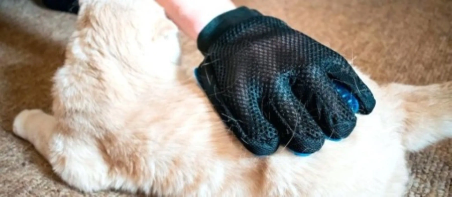 Masująca rękawica do sierści dla psa i kota