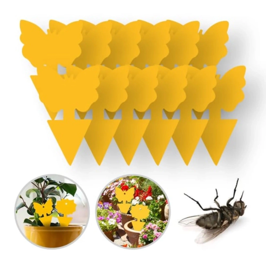 Lep na owady do roślin 12 szt
