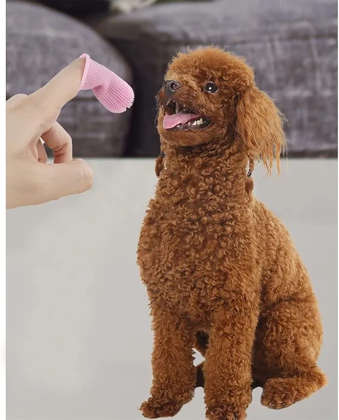 Silikonowa szczoteczka do mycia zębów dla psa i kota