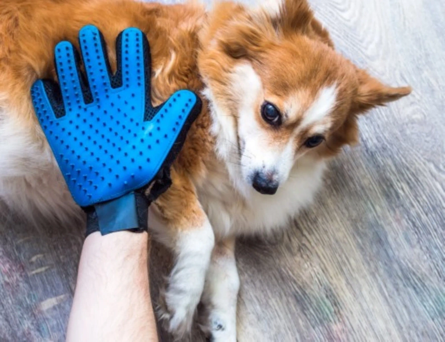Masująca rękawica do sierści dla psa i kota