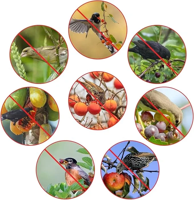 Odstraszasz ptaków kruk solar taśma