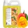 Żel pod prysznic Juicy Mango 5 l