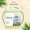 Oliwka olejek do masażu Aloe Vera 5000 ml