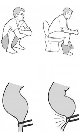 Łazienkowy podnóżek toaletowy 42 cm x 17 cm x 26 cm