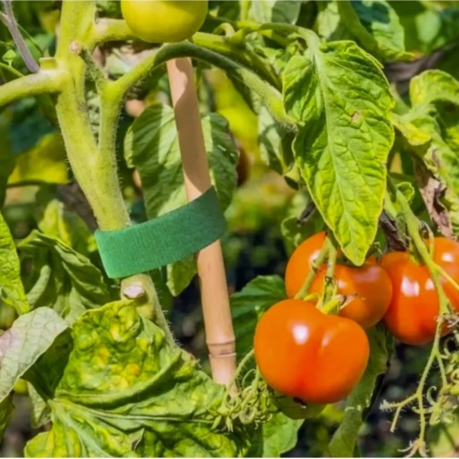 Rzep opaska ogrodnicza do roślin regulowana 50 cm