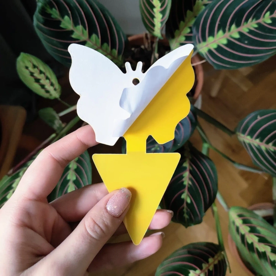 Lep na owady do roślin 12 szt