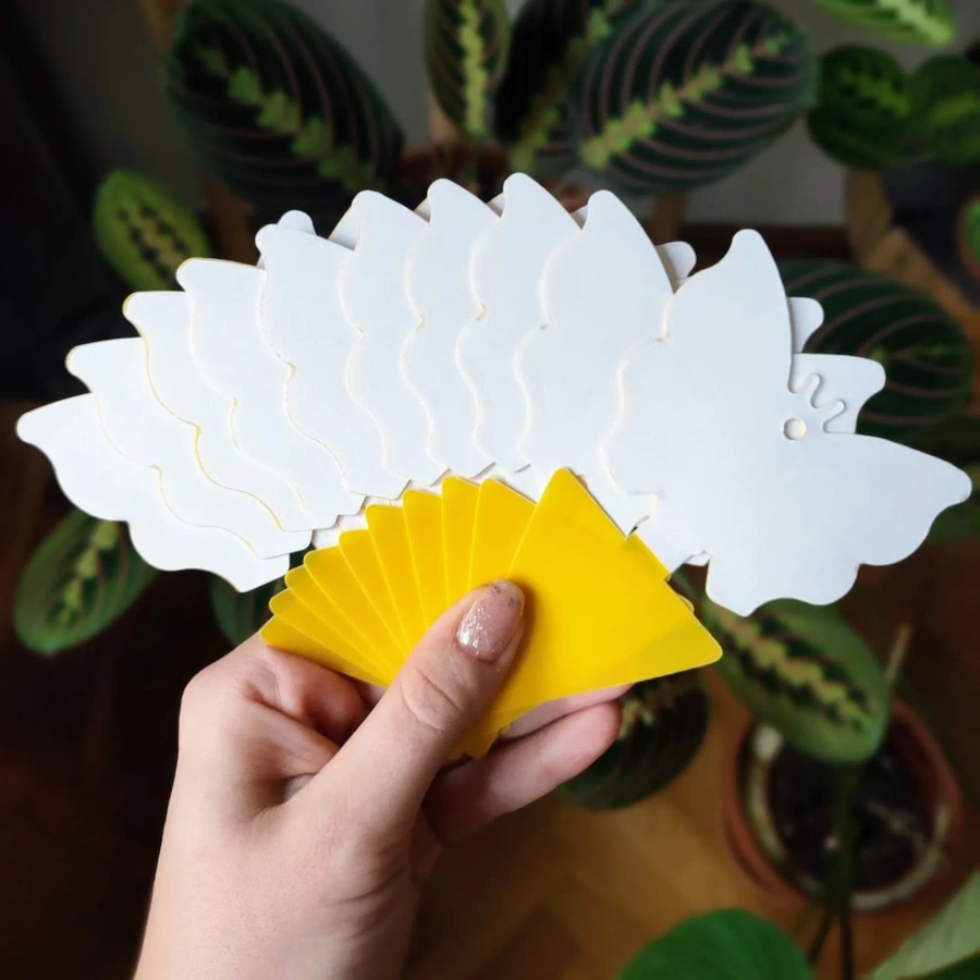 Lep na owady do roślin 12 szt