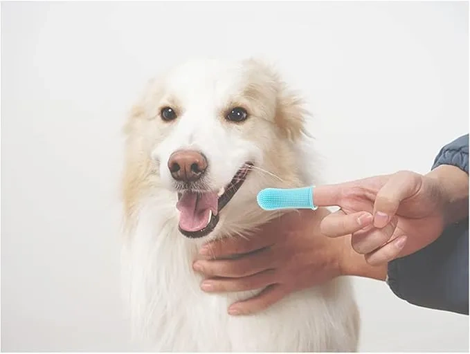 Silikonowa szczoteczka do mycia zębów dla psa i kota