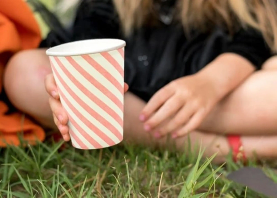 Kubki papierowe jednorazowe 50 szt. 250 ml