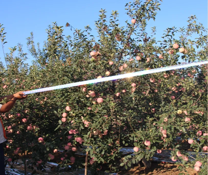 Odstraszasz ptaków kruk solar taśma