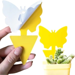 Lep na owady do roślin 12 szt